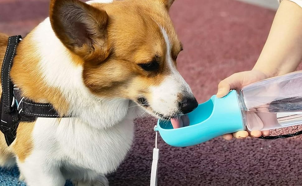Dispensador Agua Mascotas Pro Outdoor