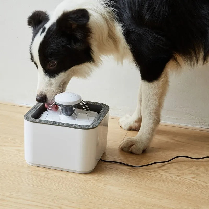 💧 Fuente de Agua Eléctrica para Mascotas – 2,5 Litros de Amor y Cuidado 🐾
